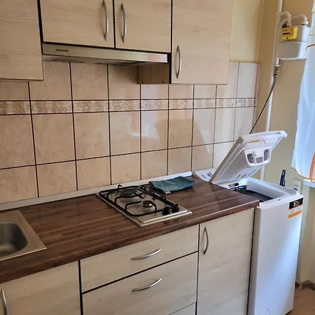 Chestnut Blossom Flat 公寓 *