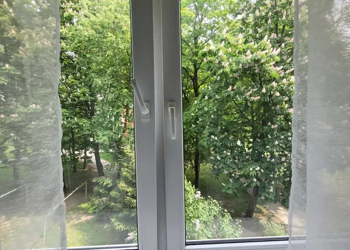 Chestnut Blossom Flat *